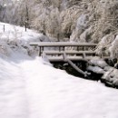 34 10 Gert Winkler 002